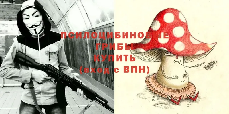 Псилоцибиновые грибы Magic Shrooms  Балахна 